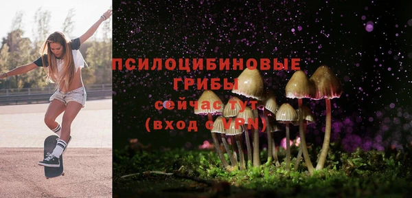 экстази Алексин