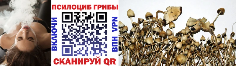 mega   Суровикино  Псилоцибиновые грибы GOLDEN TEACHER  магазин   